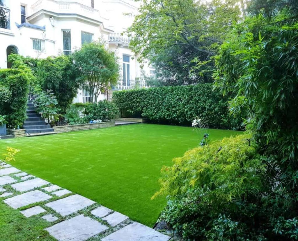 Lawn Grass UAE