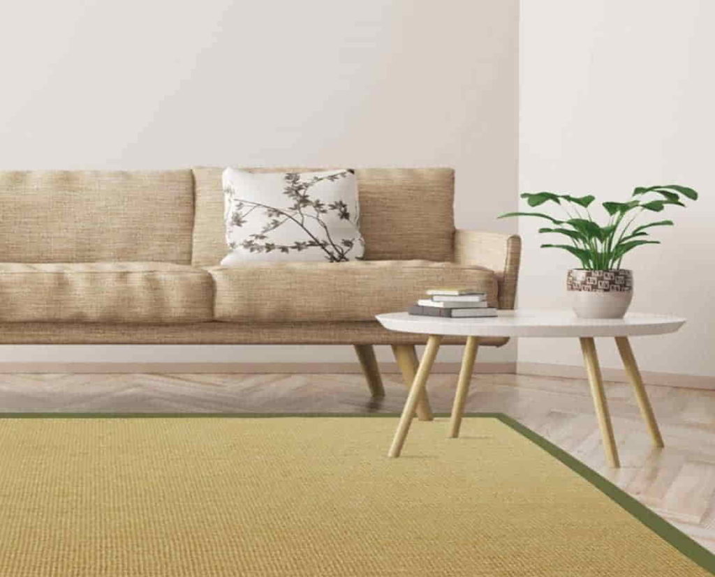 Modern Sisal Carpet Abu Dhabi