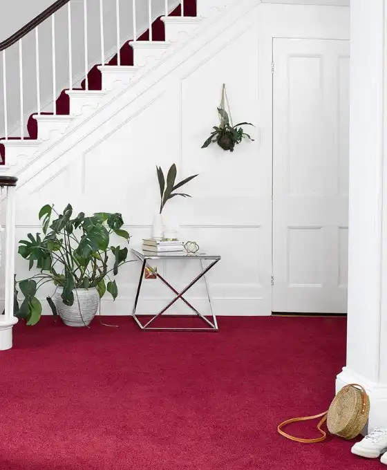 Crimson Plush carpet for Hallway
