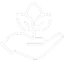 Eco friendly Designing