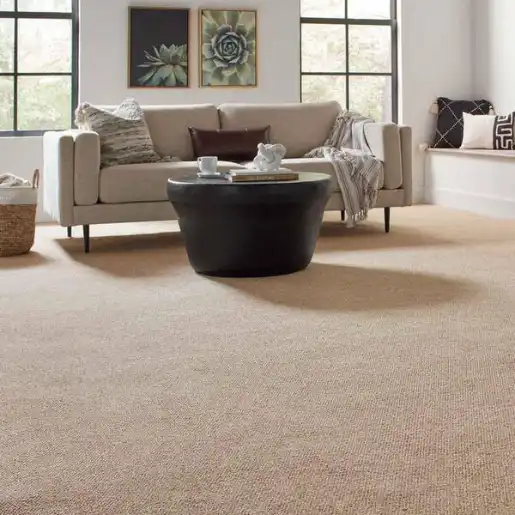 Golden Tan Berber Loop Pile carpet for Living Room in Al Bateen