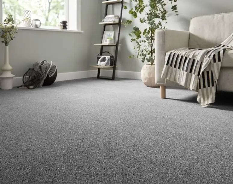 Grey Soft Twist carpet for Modern Home in Al Reem Island