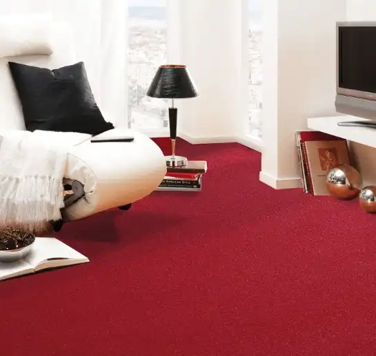 Red Modern carpet for Office
