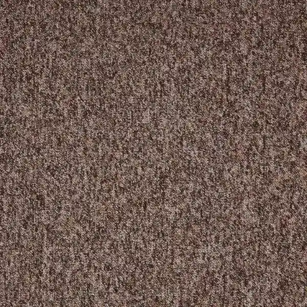Comet-Carpet-Paragon-Toccarre-Brown (1)