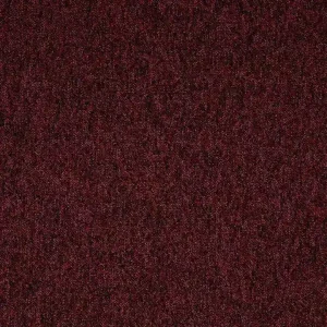 Comet-Carpet-Paragon-Toccarre-Red